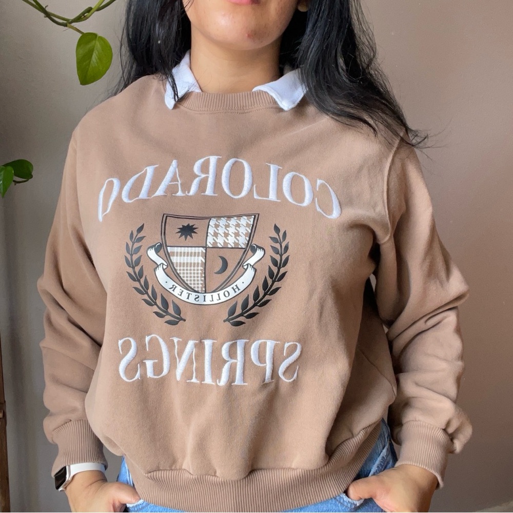 Hollister Brown Crew Neck Sweater